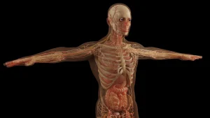 Bagaimana Diabetes Mempengaruhi Tubuh? Penjelasan Lengkap